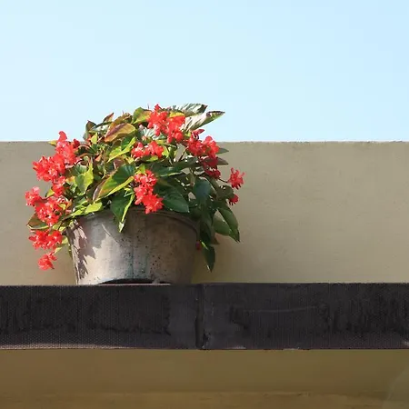 For You Casa Vacanze Cinque Terre Semesterbostad