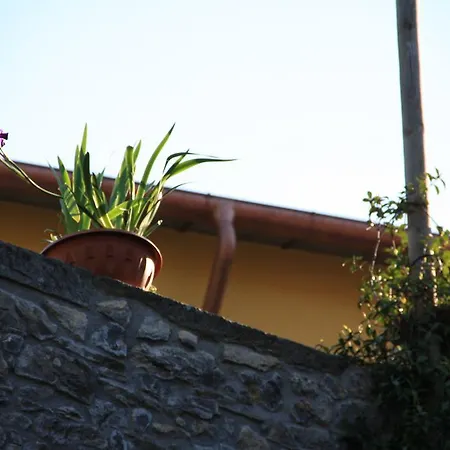 For You Casa Vacanze Cinque Terre